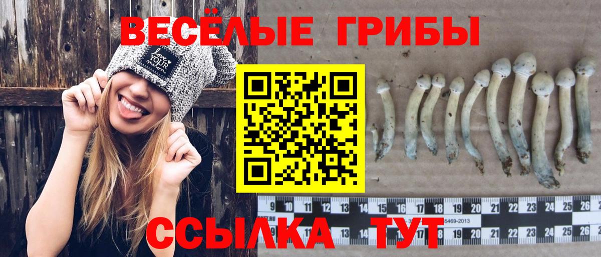 Псилоцибиновые грибы прущие грибы Долгопрудный