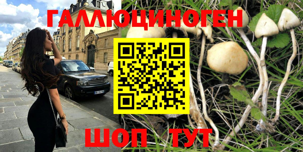 Долгопрудный  где можно купить наркотик  Псилоцибиновые грибы мухоморы  Вход с VPN  Псилоцибиновые грибы Magic Shrooms 